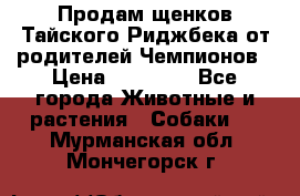 Продам щенков Тайского Риджбека от родителей Чемпионов › Цена ­ 30 000 - Все города Животные и растения » Собаки   . Мурманская обл.,Мончегорск г.